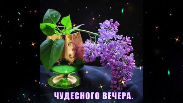 Добрый  вечер!  Михаил  Шафутинский   и  Сюзанна  Теппер   -   Костер  Любви