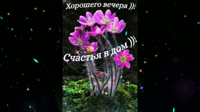 Добрый  вечер!    Ольга  Фаворская  -  Наверное  Это   Любовь