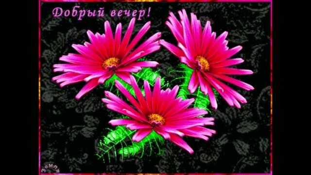 Добрый  вечер! Светлана  Яговкина  -  А  Ты, А Я