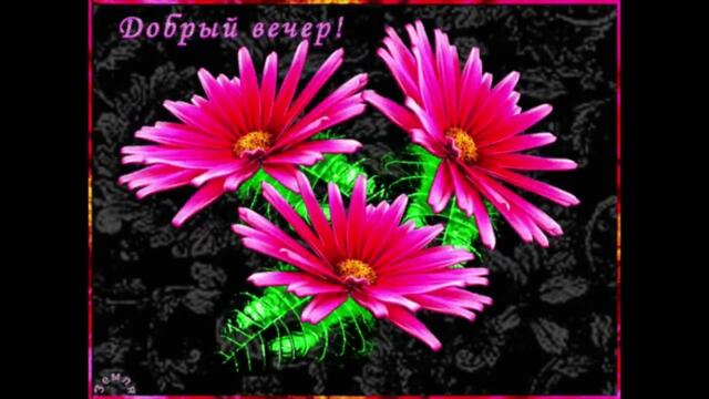 Добрый  вечер !  Евгения  Отрадная  -  С  Первого  Взгляда