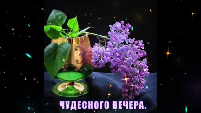 Добрый  вечер!  Евгения Отрадная   -   Не  Ты