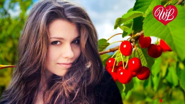 Владимир Цветаев   -   КАК ВИШНЯ С ВЕТОЧКИ