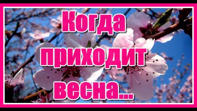 Когда приходит весна... Музыкальная открытка. Друзья!  С весною вас! Нежная музыка Сергея Чекалина.