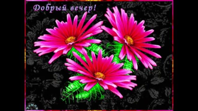 Добрый  вечер!     Наталья  Сорокина  -  Игра  Жизни