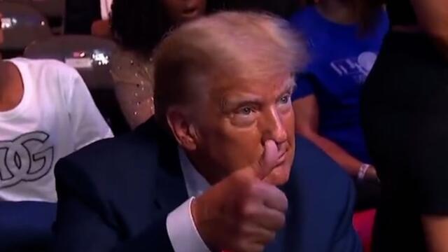 Watch: Crowd erupts as Donald Trump sits in front row at UFC 287 in Miami