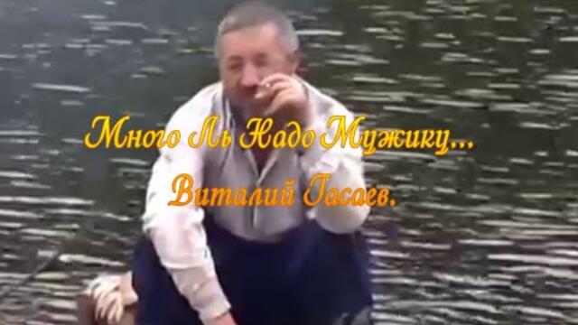 Виталий Гасаев   -   Много Ль Надо Мужику.