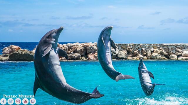 Божественная музыка трогает сердце🌺Эту музыку можно слушать вечно🌺Отличная музыка Сергей Грищук