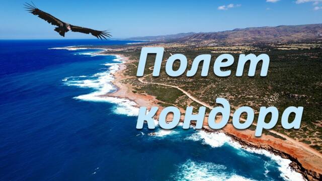 Карел Готт - Полет кондора (необычное исполнение на немецком языке)