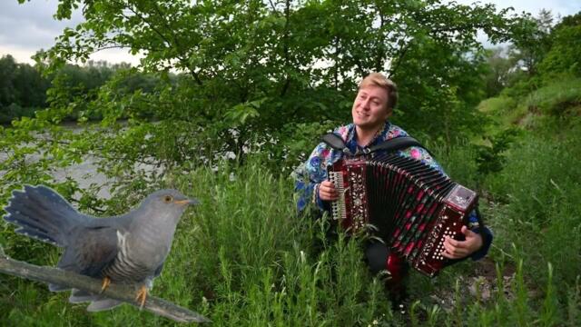 Нагадала кукшка