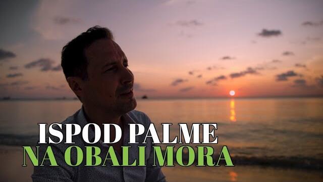 PEDJA JOVANOVIC - ISPOD PALME NA OBALI MORA (COVER)