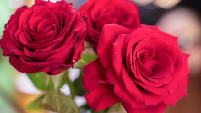 Музыка для души. Эту музыку можно слушать вечно! Лучшие композиции Сергея Грищука