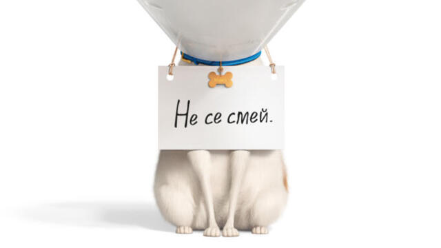 Сами Вкъщи 2 (2019) (бг аудио) (част 1) TV Rip bTV Comedy 22.04.2023