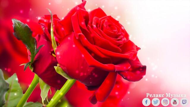 Безумно красивая восточная музыка! Цветы распускаются под вальс! Отличные мелодии для души