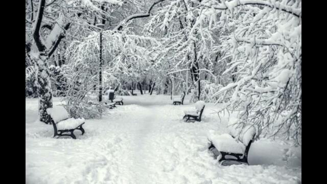 "Зимний Парк"