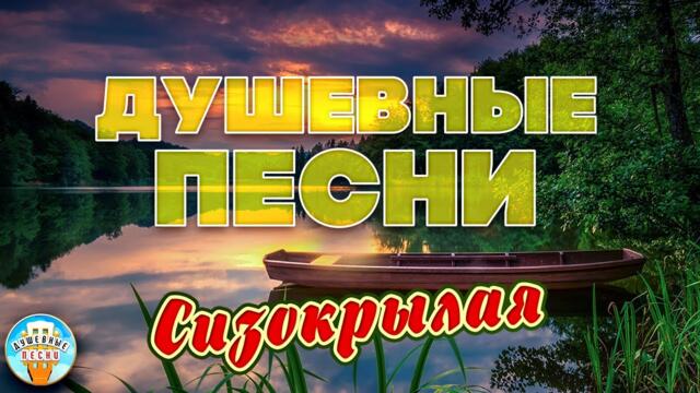 АЛЕКСАНДР МАЛИНИН   -    СИЗОКРЫЛАЯ ❀ ДУШЕВНАЯ ПЕСНЯ  ❀  ОТДЫХАЕМ С ДУШЕВНЫМИ ХИТАМИ ШАНСОНА ❀