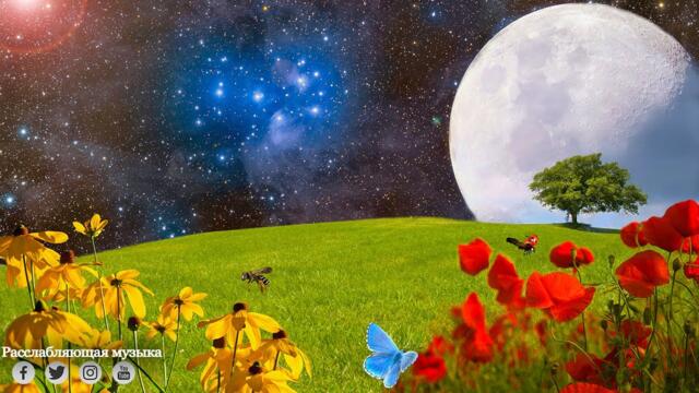 Музыка для души 🌿 Успокаивающая музыка исцеляет разум и тело, успокаивает нервную систему