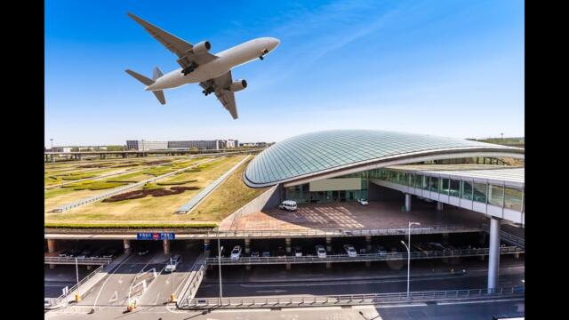 Отпуск. Сергей Чекалин.