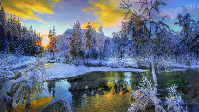 Евгений Сибирцев    -   Скажи, белый снег