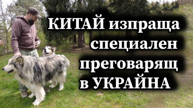Китай изпраща специален преговарящ в Украйна