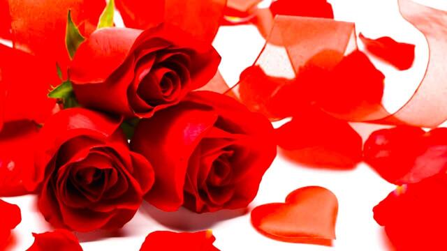 Красивая мелодия до слёз! Одна из самых красивых, волшебных весенних мелодий