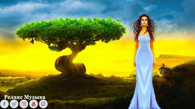 Музыка для лечения сердца и нервной системыn! Нежная музыка для души, жизни- Музыка Сергея Чекалина