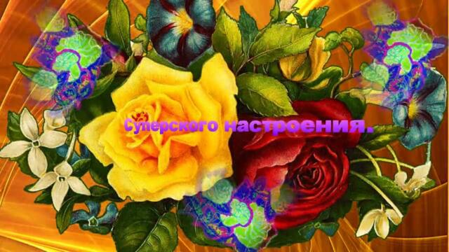 Шикарного Вам настроения
