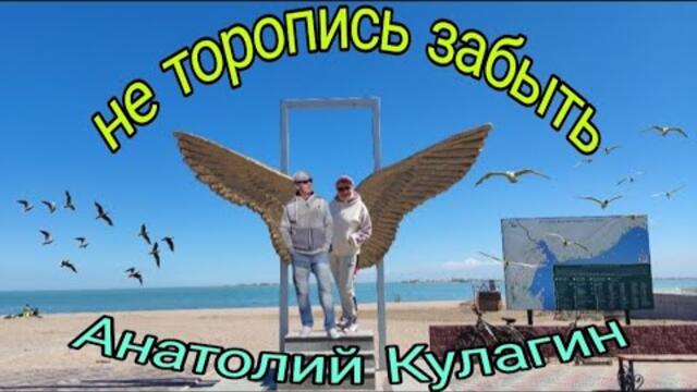 Анатолий Кулагин    -   НЕ ТОРОПИСЬ ЗАБЫТЬ
