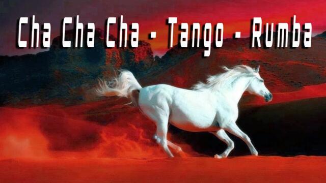 Cha Cha Cha / Tango / Rumba / Mambo 2022 - Best Relaxing Instrumental Music