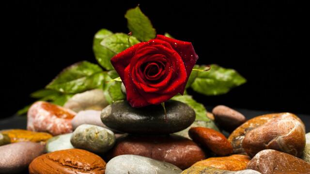 КРАСИВАЯ МУЗЫКА ДЛЯ ДУШИ! Сборник Самых Невероятно Красивых и Очень Нежных Мелодий! Сергей Грищук