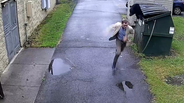 Watch: School principal comes face-to-face with dumpster diving bear