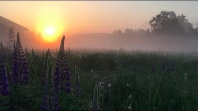 Удивительный Рассвет со Сборником Красивой и Душевной Музыки Эдгара Туниянца!