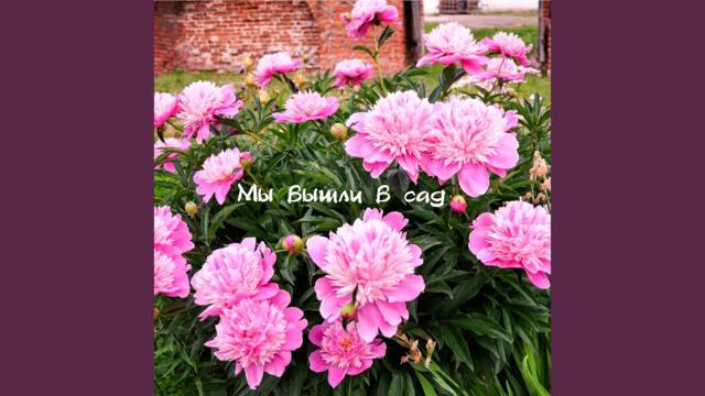 Дмитрий Висковатый   -  Не уходи