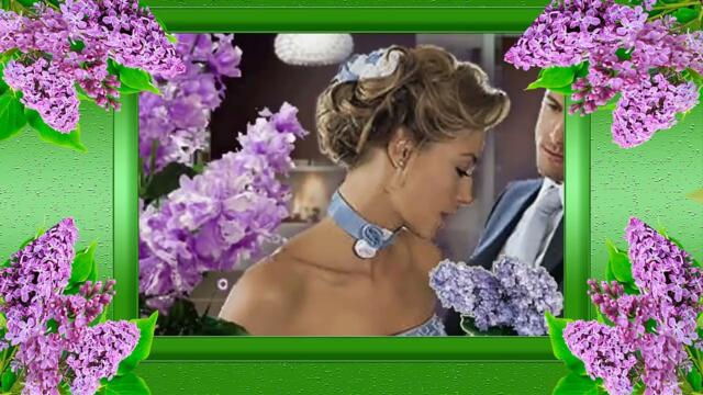 Цветет сирень