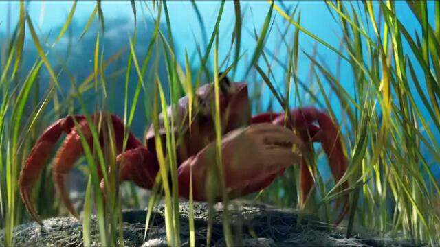 The Little Mermaid Movie Clip - Under the Sea