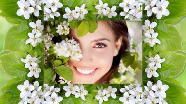 Сергей Чекалин   -   Несу черемухи букет его тебе я подарю