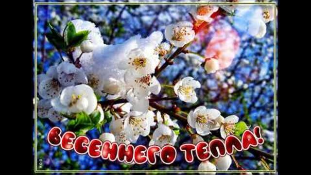 Шансон песни новые 2023 года