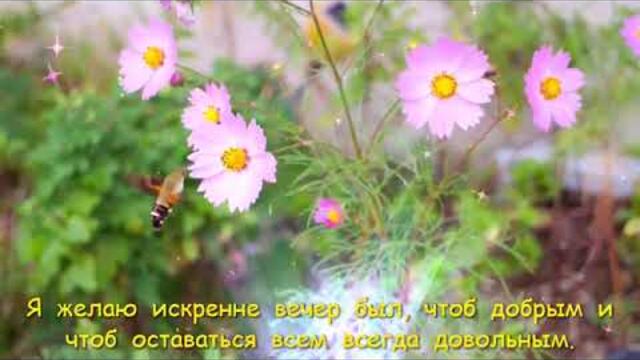 Тихого  невероятного  вечера!