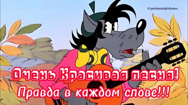 Вы должны её услышать! Очень красивая песня реальной жизни