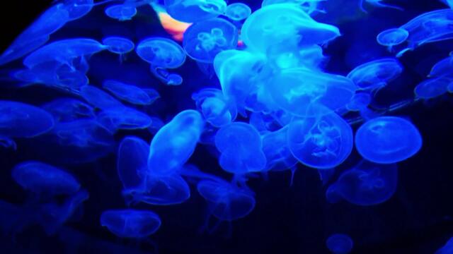 52_I Don_t Know You Anymore - Victor Lundberg,AI Music