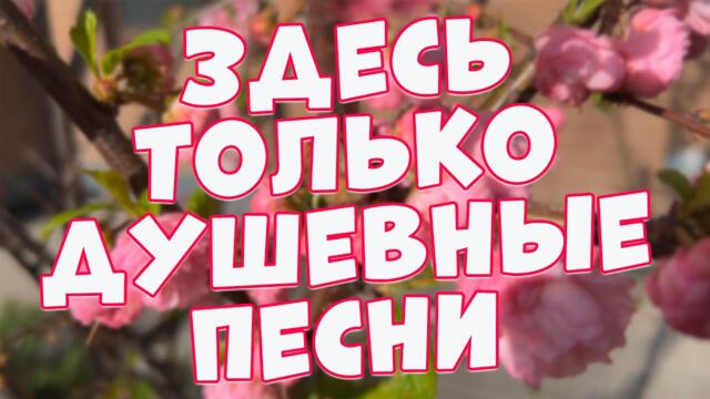 ргей Одинцов  /   Эти ПЕСНИ хочется СЛУШАТЬ и ПОДПЕВАТЬ снова и СНОВА!
