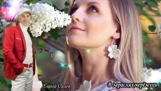 Сергей Орлов   -   В зарослях черёмухи