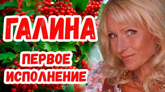 Лена Василёк   -   ГАЛИНА