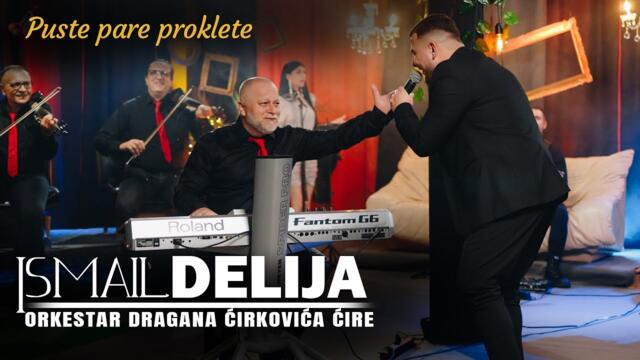 Ismail Delija - Puste pare proklete (Cover 2023)