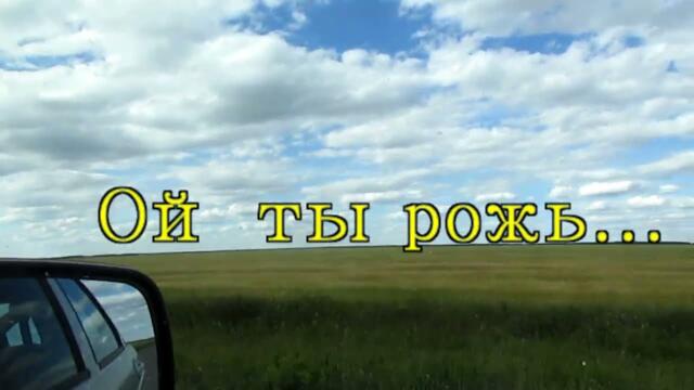 ой ты рожь