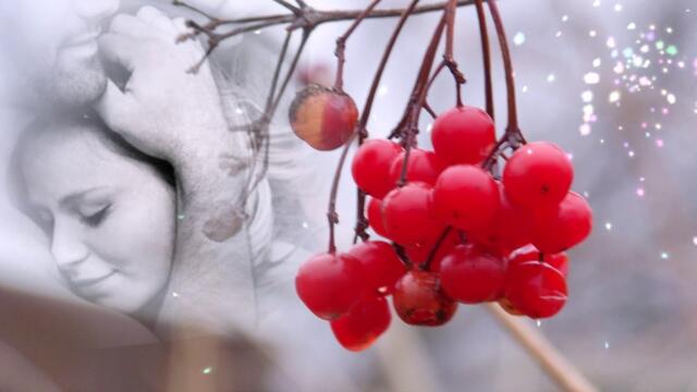 Николай Берег - Белая вьюга