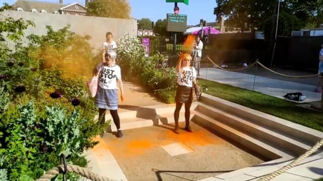 Just Stop Oil: Bystanders shout as group douse Chelsea Flower Show garden in paint