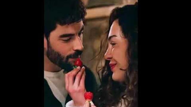 Игорь Наджиев   -  Я тебя люблю.