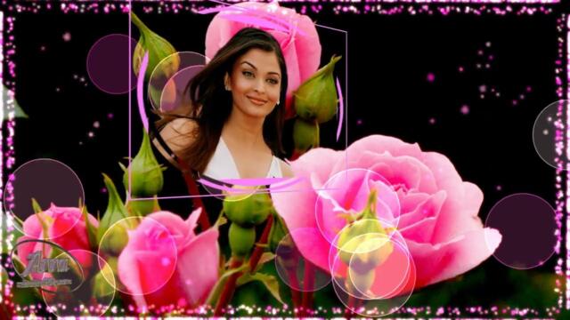 ВЛАДИМИР ПЕСНЯ   -   Я  ТЕБЯ  ЛЮБЛЮ ОДНУ,  МИЛУЮ,  МИЛУЮ !