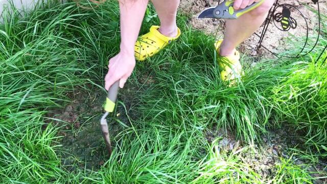 "Builders turned my garden into stinking toxic swamp and it is killing my dogs"