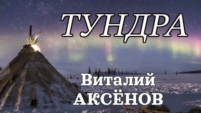 Виталий Аксёнов - Тундра